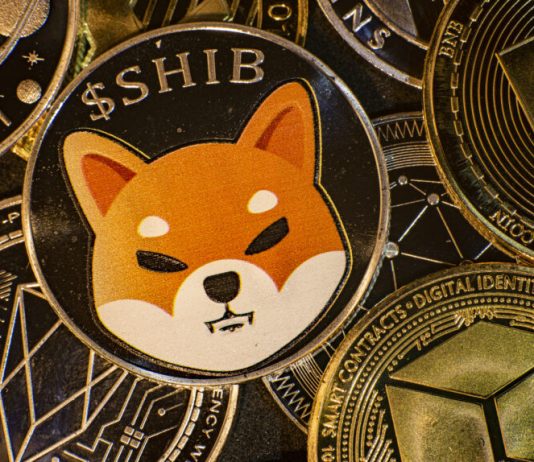 Shiba Inu Becomes 14 th Largest Cryptocurrency As Bull Rally Warms Up