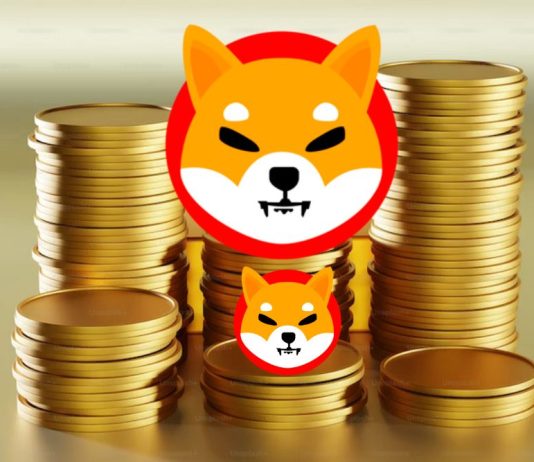 SHIB Success Pumps As Meme Coins Continue To Rally