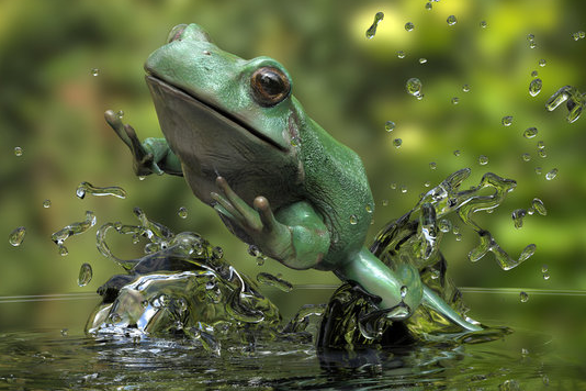 PEPE Leapfrogs With 72% Rally– What lags The Surprise Vitality?