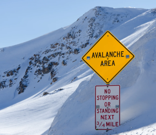 Avalanche (AVAX) Rumbles With 18% Gain– Is A Pattern Turnaround On The Horizon?