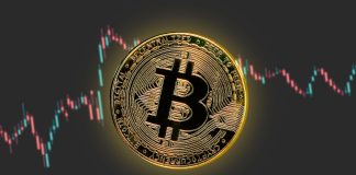 Michael Saylor Doubles Down On Bitcoin, Includes 12,333 BTC To MicroStrategy’s Holdings Michael Saylor Doubles Down On Bitcoin, Includes 12,333 BTC To MicroStrategy’s Holdings