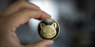 Shiba Inu Lead Dev Shares Mysterious ‘Where’ Video As SHIB Readies For Breakout? Shiba Inu Lead Dev Shares Mysterious ‘Where’ Video As SHIB Readies For Breakout?