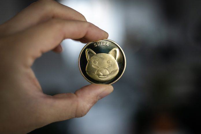 Shiba Inu Lead Dev Shares Mysterious ‘Where’ Video As SHIB Readies For Breakout?