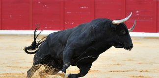 Substance (COMPENSATION) Launch With 113% Increase In Two-Week Rally, What lags The Rise? Substance (COMPENSATION) Launch With 113% Increase In Two-Week Rally, What lags The Rise?