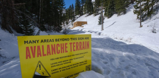 Why AVAX Cost Rumble Stalls Regardless Of Rise In Daily Activity