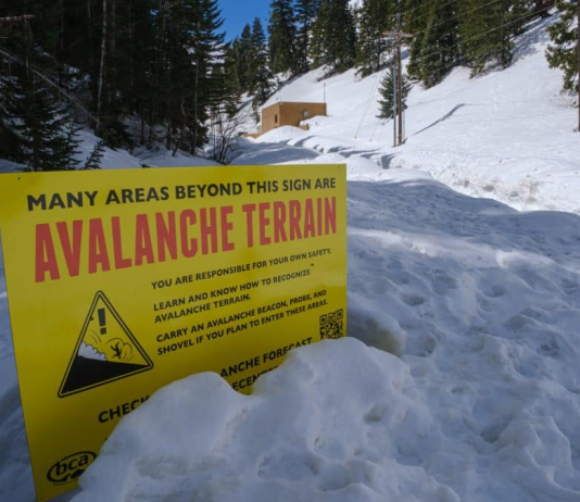 Why AVAX Cost Rumble Stalls Regardless Of Rise In Daily Activity