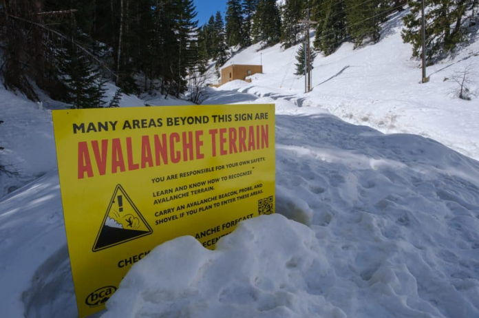 Why AVAX Cost Rumble Stalls Regardless Of Rise In Daily Activity