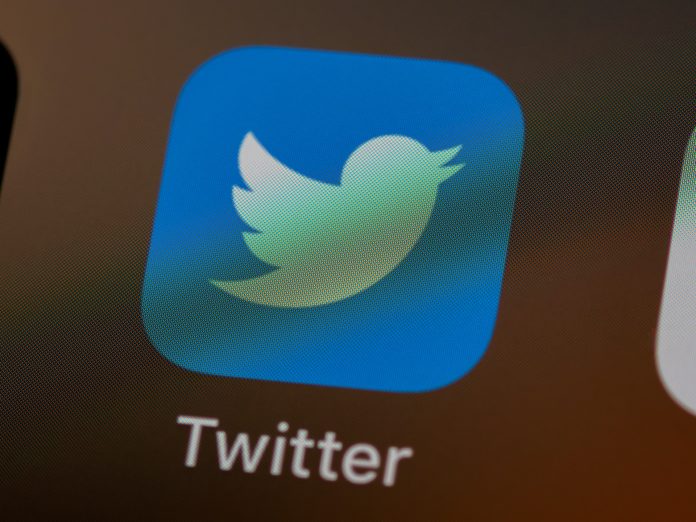 Shiba Inu Leads With Greatest Variety Of Phony Twitter Followers, Data Exposes