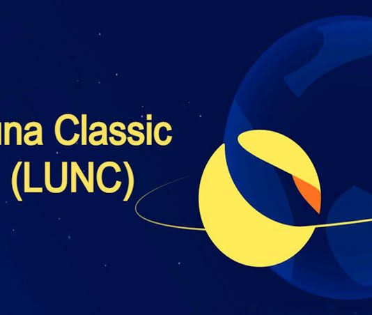 Terra Luna Classic Neighborhood Swimming Pool Balance In Jeopardy, Can They Make It Through The Plunge?