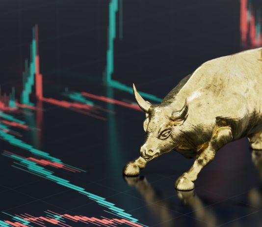 Bitcoin Bulls Stampede: Bitfinex Report Points To Early Indications Of Booming Market
