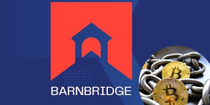 BarnBridge DAO Freezes Operations Amidst SEC Probe, Can They Weather The Storm?
