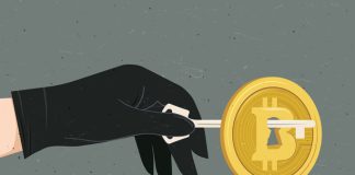 Hackers Have Stolen $30 Billion In Crypto Considering That 2012, SlowMist Report Discovers