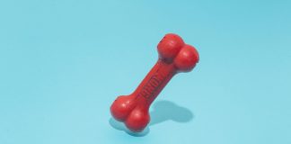 Bone ShibaSwap (BONE) Spikes 43% In A Week– Here’s Why