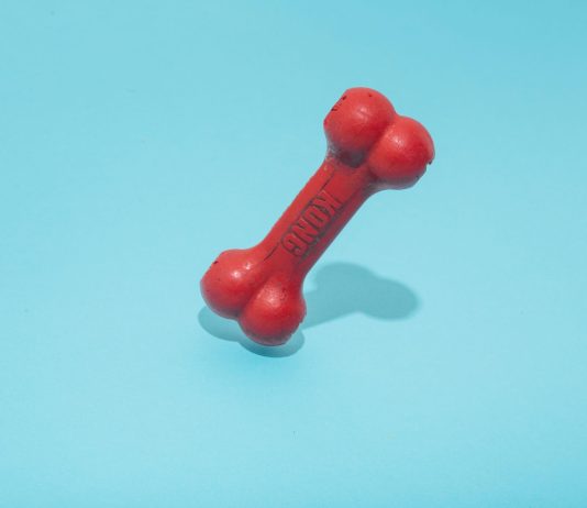 Bone ShibaSwap (BONE) Spikes 43% In A Week– Here’s Why