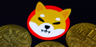 Substantial Rise: Big Shiba Inu Token Deals Capture Spotlight