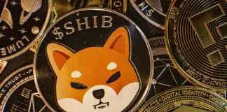 Shiba Inu (SHIB) Breakout Alert: Possible 30% Rally Looming