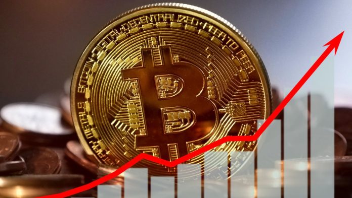 Expert: Anticipate Altcoin Season After Bitcoin Halves In 2024 Expert: Anticipate Altcoin Season After Bitcoin Halves In 2024