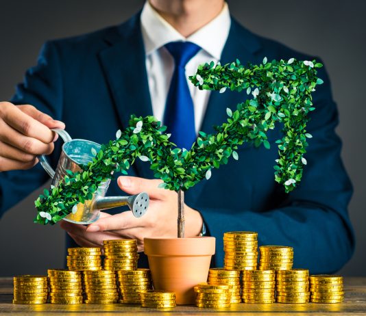 The One Active Ingredient Missing Out On From A Full-Bore Bitcoin Bull Run