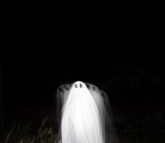 Silk Roadway’s Ghosts Haunt Bitcoin Market As United States Federal Government Relocations 9,800 BTC