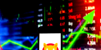 Shiba Inu Market Cap Climbs Up By $500 Million– Is A Rate Rally On The Horizon?