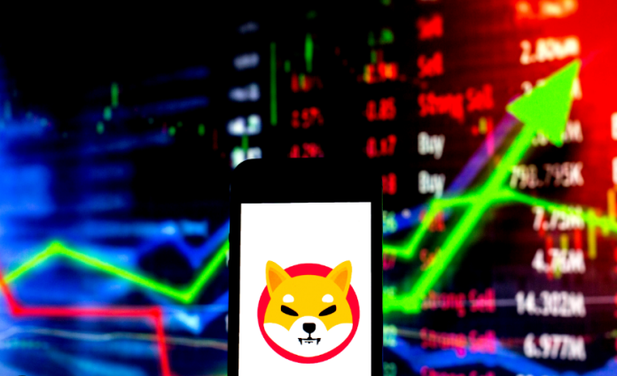 Shiba Inu Market Cap Climbs Up By $500 Million– Is A Rate Rally On The Horizon?