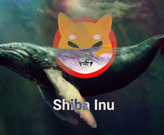 Shiba Inu Whale Holding 10% Of Overall SHIB Supply Shocks The Marketplace