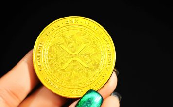 Here’s What On-Chain Data Exposes About XRP Rally