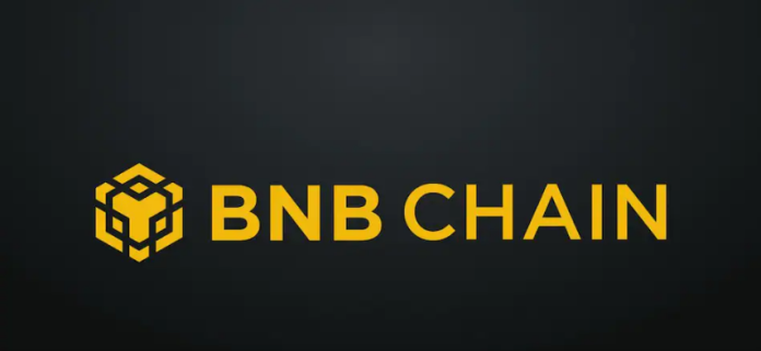 BNB Chain Inks New Record With Skyrocketing User Activity– An Increase For Rate?
