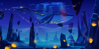 XRP Whales Flight The Crypto Rise, As Ripple Token Notches 62% Cost Spike
