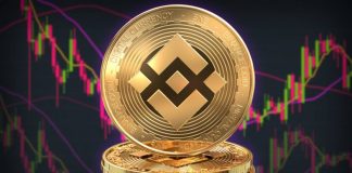 Bearish Signal: BNB Open Interest Skyrockets To New Highs