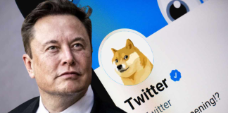 Elon Musk Fires Another Tweet– However Did It Raise Dogecoin Rate?