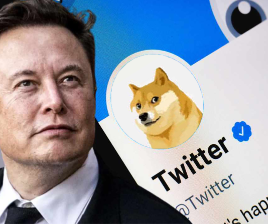 Elon Musk Fires Another Tweet– However Did It Raise Dogecoin Rate?