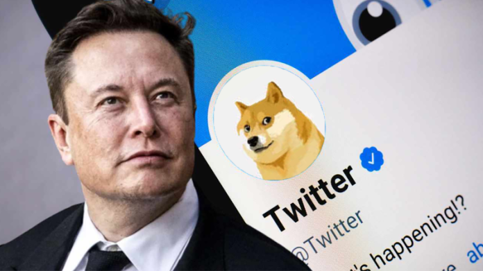 Elon Musk Fires Another Tweet– However Did It Raise Dogecoin Rate?