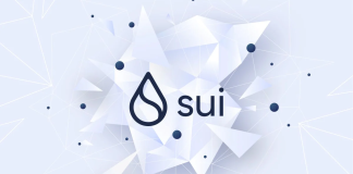 SUI Rises 11% In Simply 24 Hours, Is It Still Worth Purchasing?