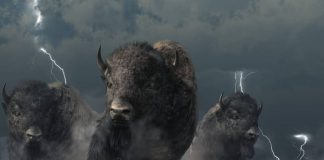 XRP Surpasses Bitcoin In Highest Weekly Trading Volume Following Legal Victory