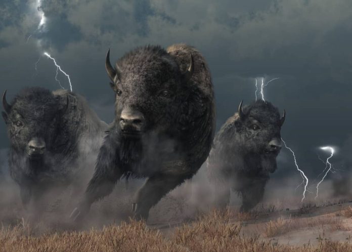 XRP Surpasses Bitcoin In Highest Weekly Trading Volume Following Legal Victory