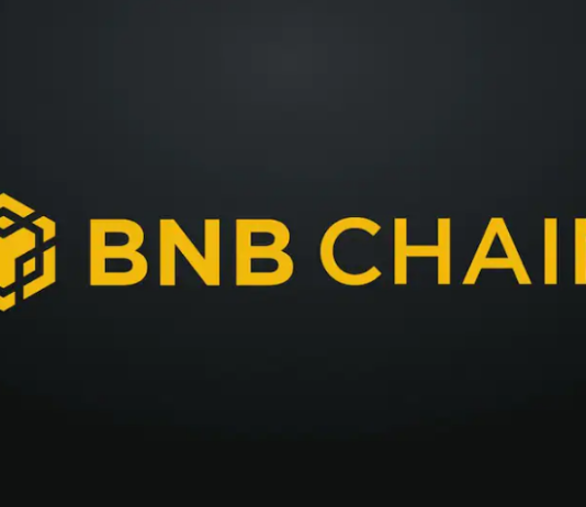 BNB Chain Reveals Beacon Update– What’s Its Bearing upon Rate?