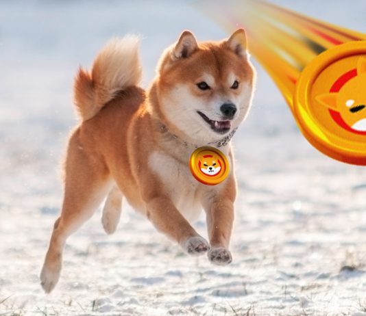 Shiba Inu (SHIB) Forecast: 24% Cost Rally Impending By Month End