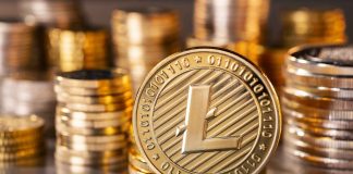 Litecoin Whales Purchase $59 Million Worth of LTC As Halving Occasion Approaches