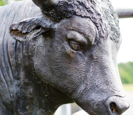 Excellent (XLM) Rises Over 43% In One Week, What’s Pressing It?