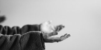 Bitfinex Hackers Give Up: Couple Consents To Surrender 120,000 Bitcoin in Plea Offer