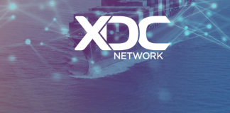 XDC Network Controls Weekend Top 100 Lineup With 50% Rally