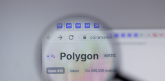 From Polygon NFT Wins To MATIC Gains: Comprehending The Connection
