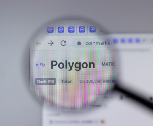 From Polygon NFT Wins To MATIC Gains: Comprehending The Connection