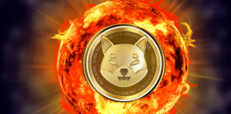 Here’s Why Shiba Inu Burns Do Not Effect SHIB Rate