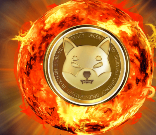 Here’s Why Shiba Inu Burns Do Not Effect SHIB Rate