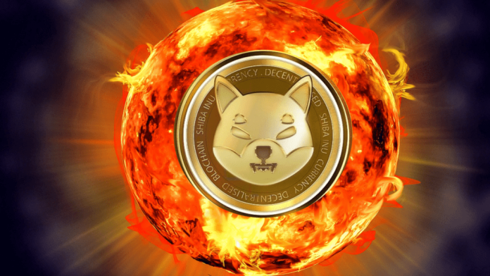 Here’s Why Shiba Inu Burns Do Not Effect SHIB Rate Here’s Why Shiba Inu Burns Do Not Effect SHIB Rate