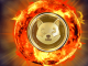 Here’s Why Shiba Inu Burns Do Not Effect SHIB Rate