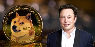 Elon Musk Includes Dogecoin Sign In Twitter Bio, Activating 5% Boost In Cost