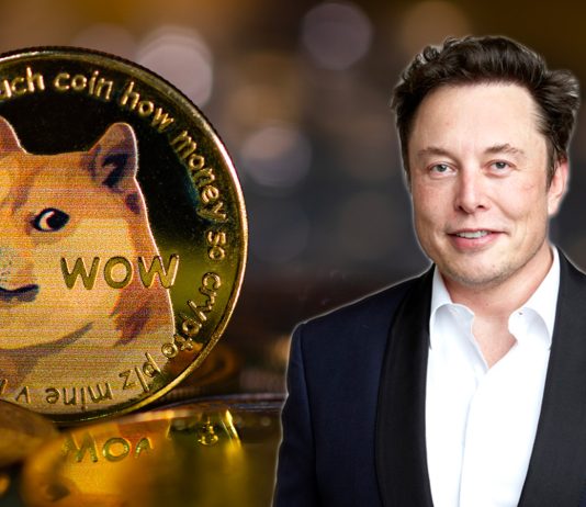Elon Musk Includes Dogecoin Sign In Twitter Bio, Activating 5% Boost In Cost